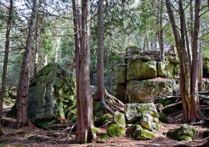 Image of the Bruce Trail