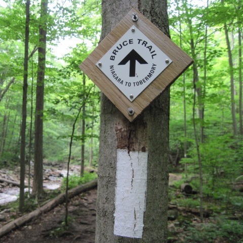 The Bruce Trail sign